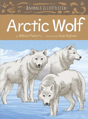 Animals Illustrated: Arctic Wolf book