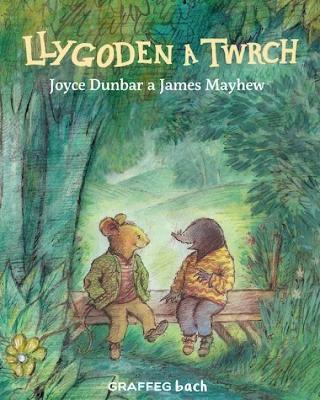 Llygoden a Twrch book