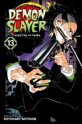 Demon Slayer: Kimetsu no Yaiba, Vol. 13 book