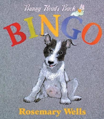 Bingo Board Book book