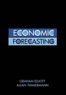 Economic Forecasting book