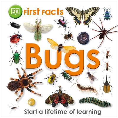 First Facts Bugs by DK