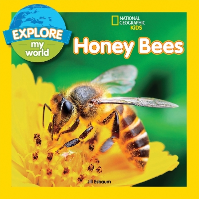 Explore My World: Honey Bees book