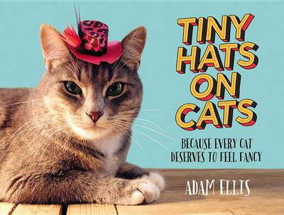 Tiny Hats on Cats by Adam Ellis