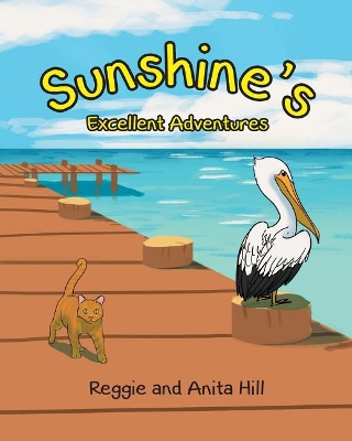 Sunshine's Excellent Adventures book