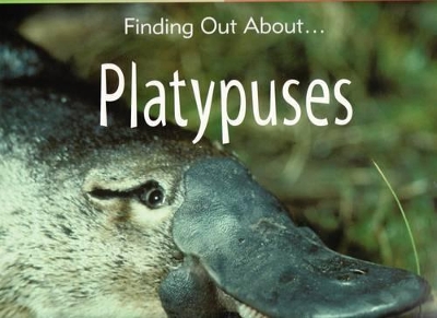 Platypuses Big Book book