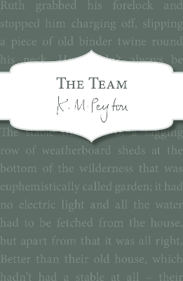 Team book
