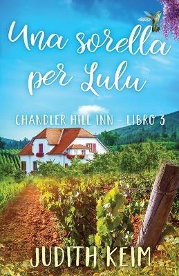 Una sorella per Lulu: Titolo originale: Home At Last by Judith Keim