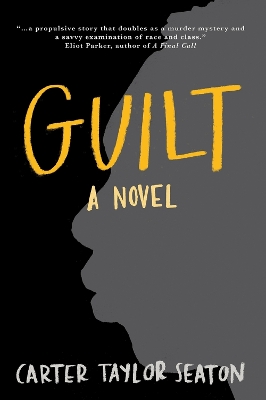 Guilt book
