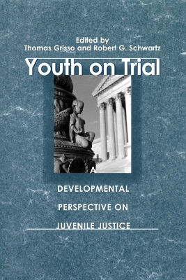 Youth on Trial book