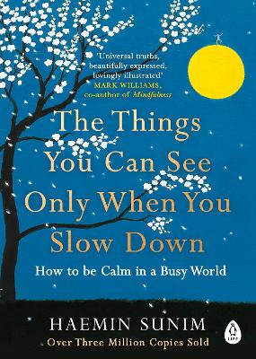 The The Things You Can See Only When You Slow Down: How to be Calm in a Busy World by Haemin Sunim