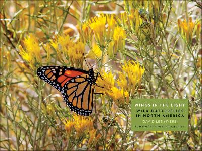 Wings in the Light: Wild Butterflies in North America book