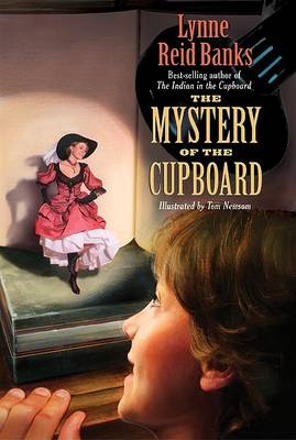 Mystery of the Cupboard book