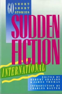 Sudden Fiction International book