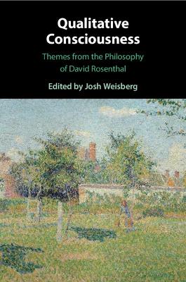 Qualitative Consciousness: Themes from the Philosophy of David Rosenthal by Josh Weisberg