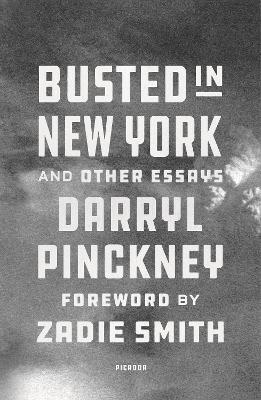Busted in New York and Other Essays book