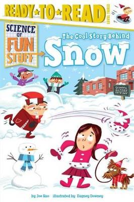 Cool Story Behind Snow book