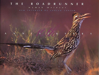 The Roadrunner by Andrew Sansom