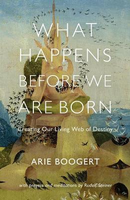 What Happens Before We Are Born: Creating Our Living Web of Destiny; with Prayers and Meditations by Rudolf Steiner book