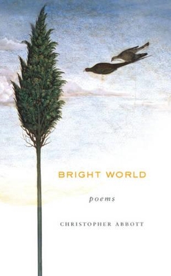 Bright World book