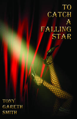 To Catch a Falling Star book