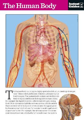 Human Body book