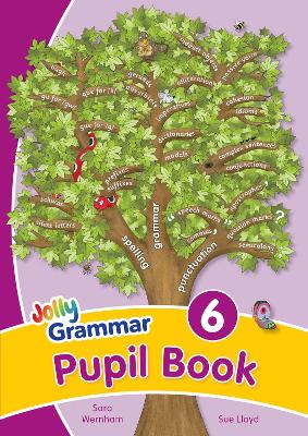 Grammar 6 Pupil Book book