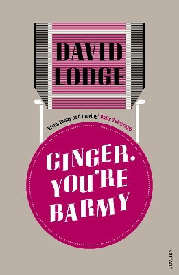 Ginger, You're Barmy book