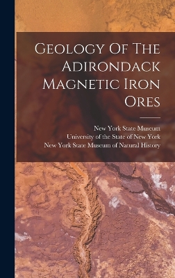 Geology Of The Adirondack Magnetic Iron Ores by David Hale Newland