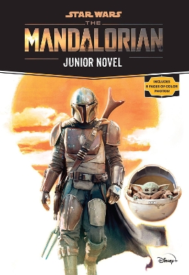Star Wars: The Mandalorian Junior Novel book
