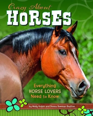 Crazy About Horses book