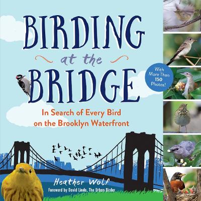 Birding at the Bridge book