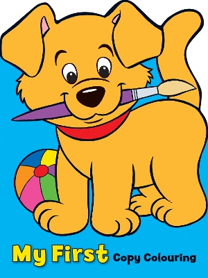 My First Colouring Book book