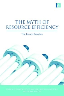 The Myth of Resource Efficiency by John M. Polimeni