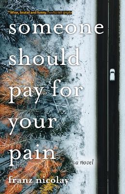 Someone Should Pay for Your Pain: A Novel book