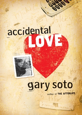 Accidental Love book