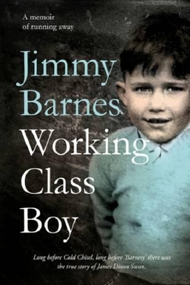 Working Class Boy book
