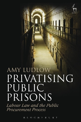 Privatising Public Prisons book