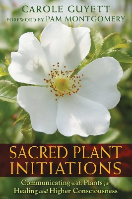 Sacred Plant Initiations book