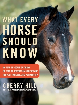 What Every Horse Should Know book