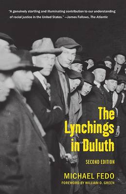 The Lynchings in Duluth: Second Edition book