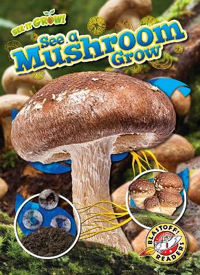 See a Mushroom Grow by Kirsten Chang