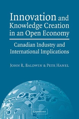 Innovation and Knowledge Creation in an Open Economy book