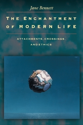 Enchantment of Modern Life book