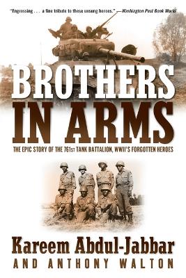 Brothers in Arms book