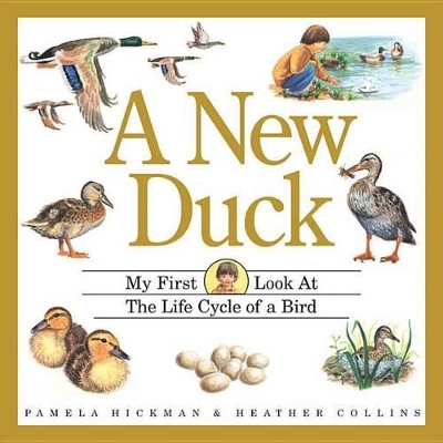 New Duck book