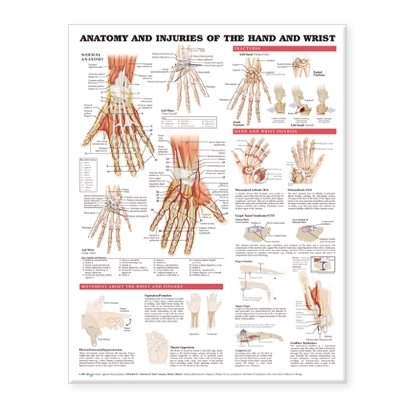 Anatomy and Injuries of the Hand and Wrist Anatomical Chart by Anatomical Chart Company