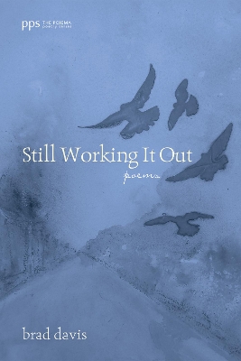 Still Working It Out by Brad Davis