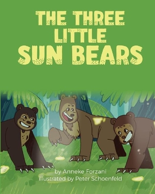 The Three Little Sun Bears book