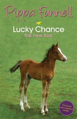 Tilly's Pony Tails: Lucky Chance the New Foal by Pippa Funnell